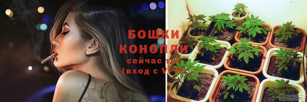 прущая мука Ельня
