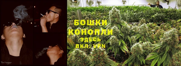 прущая мука Ельня