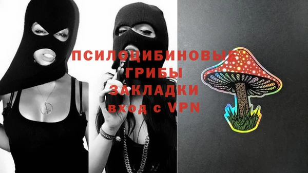 прущая мука Ельня